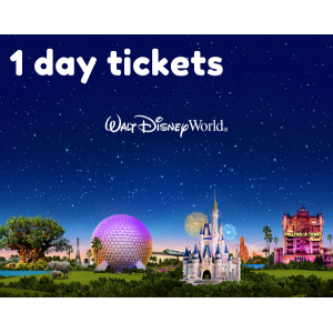 1 Day Walt Disney World Tickets 2024 Orlando Attractions   Walt Disney World 1 Day Tickets 300x300 